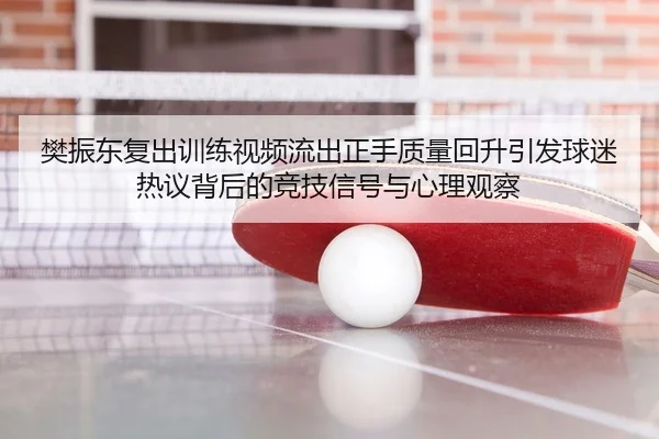 樊振东复出训练视频流出正手质量回升引发球迷热议背后的竞技信号与心理观察